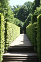 Fotoschlumpfs Abenteuerreisen im Barockgarten von Grosedlitz