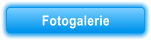 Fotogalerie