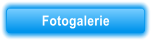 Fotogalerie