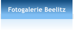 Fotogalerie Beelitz