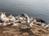 Fotoschlumpfs auf Helgoland (c) Fotoschlumpfs Abenteuerreisen