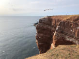 Fotoschlumpfs auf Helgoland (c) Fotoschlumpfs Abenteuerreisen