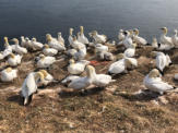 Fotoschlumpfs auf Helgoland (c) Fotoschlumpfs Abenteuerreisen