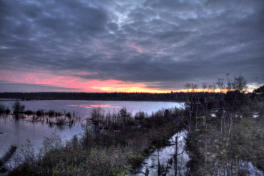 Fotoschlumpfs Abenteuerreisen hat dieses Bild 2014 im Tisterbauernmoor  gemacht!