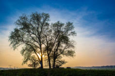 Schleswig Holstein im Herbst (c) Fotoschlumpfs Abneteuereisen