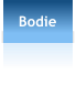 Bodie