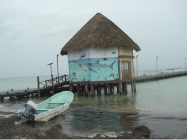 Impressionen der Insel Holbox  Fotoschlumpfs Abenteuerreisen