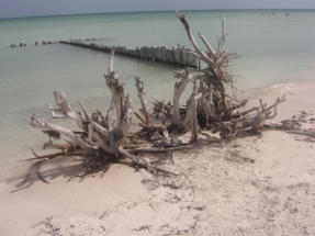 Impressionen der Insel Holbox  Fotoschlumpfs Abenteuerreisen