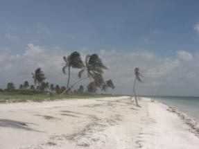 Impressionen der Insel Holbox  Fotoschlumpfs Abenteuerreisen