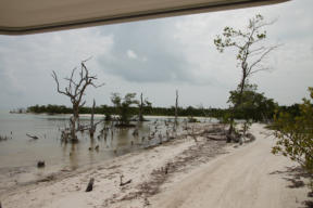 Impressionen der Insel Holbox  Fotoschlumpfs Abenteuerreisen