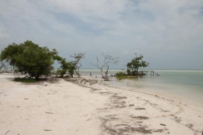 Impressionen der Insel Holbox  Fotoschlumpfs Abenteuerreisen