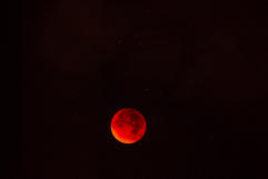 Blutmond, Supermond. Copyright Fotoschlumpfs Abenteuerreisen.