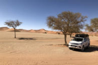 Auf der Suche nach Schatten in der Namib (c) uwe kahrs