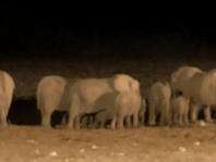 Elefanten Nachts am Wasserloch (c) uwe kahrs