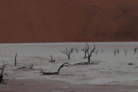 Namibia, Dead Vlei (c) uwe kahrs