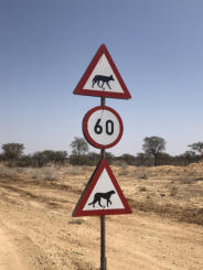 Okonjima Ranch (c) uwe kahrs