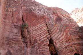 Fotoschlumpfs Abenteuerreisen in Petra