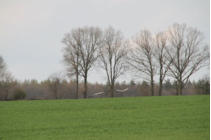 Fotoschlumpfs Tierleben in der Prignitz