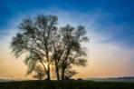 Schleswig Holstein im Herbst (c) Fotoschlumpfs Abneteuereisen