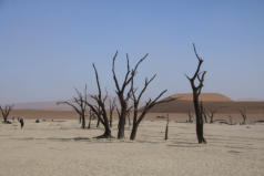Dead Vlei Namibia 