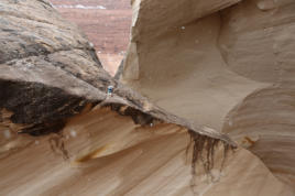 Nautilus Wave Arizona/Utah. Fotoschlumpfs Abenteuerreisen