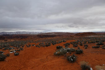 Fotoschlumpfs Abenteuer am Horseshoe Bend