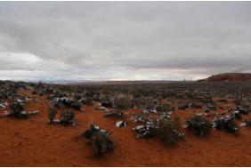 Horseshoe Bend - by Fotoschlumpfs Abenteuerreisen