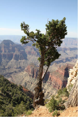 Grand Canyon North Rim - Powered by Fotoschlumpfs Abenteuerreisen.de