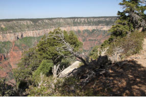 Grand Canyon North Rim - Powered by Fotoschlumpfs Abenteuerreisen.de