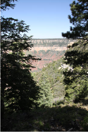 Grand Canyon North Rim - Powered by Fotoschlumpfs Abenteuerreisen.de