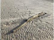 Strandgut in St. Peter Ording (c) Fotoschlumpfs Abenteuerreisen