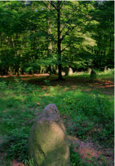 Fotoschlumpfs Abenteuerreisen an mystischen Orten