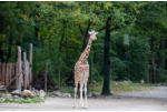 Impressionen aus Hellabrunn (c) Fotoschlumpfs Abenteuerreisen