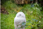 Impressionen aus Hellabrunn (c) Fotoschlumpfs Abenteuerreisen