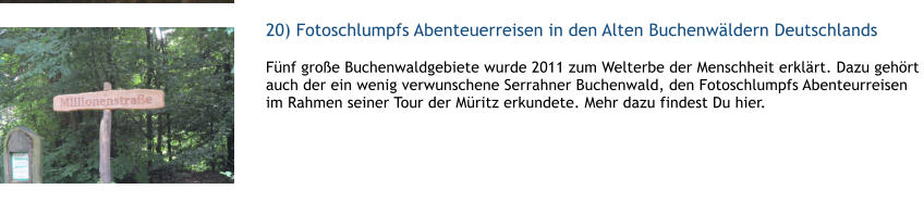 20) Fotoschlumpfs Abenteuerreisen in den Alten Buchenwldern Deutschlands  1 Fnf groe Buchenwaldgebiete wurde 2011 zum Welterbe der Menschheit erklrt. Dazu gehrt auch der ein wenig verwunschene Serrahner Buchenwald, den Fotoschlumpfs Abenteurreisen im Rahmen seiner Tour der Mritz erkundete. Mehr dazu findest Du hier.  1