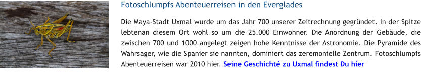 Fotoschlumpfs Abenteuerreisen in den Everglades Die Maya-Stadt Uxmal wurde um das Jahr 700 unserer Zeitrechnung gegrndet. In der Spitze lebtenan diesem Ort wohl so um die 25.000 Einwohner. Die Anordnung der Gebude, die zwischen 700 und 1000 angelegt zeigen hohe Kenntnisse der Astronomie. Die Pyramide des Wahrsager, wie die Spanier sie nannten, dominiert das zeremonielle Zentrum. Fotoschlumpfs Abenteuerreisen war 2010 hier. Seine Geschicht zu Uxmal findest Du hier
